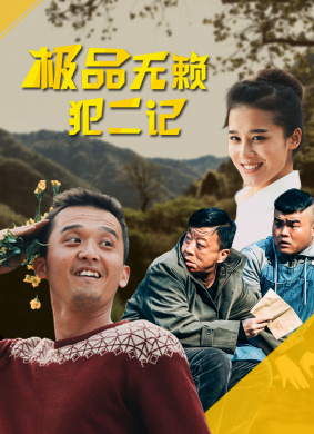 极品无赖犯二记