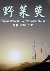 野茱萸Cornus officinalis