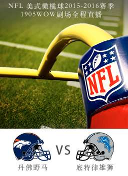 2015-2016赛季NFL绿湾包装工VS亚利桑那红雀