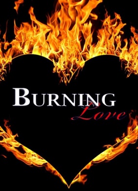 燃烧的爱情 第三季Burning Love Season 3