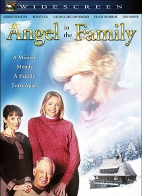 天使的家Angel in the Family