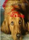 旺旺心事For the Love of a Dog