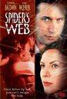 蜘蛛网Spider's Web