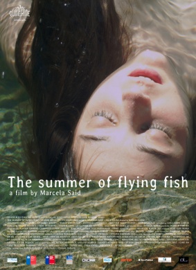 飞鱼的夏天The Summer of Flying Fish