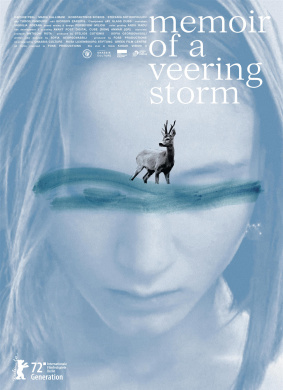 风暴回忆录Memoir of a Veering Storm