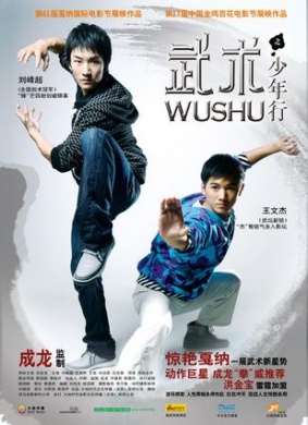武术之少年行Wushu