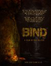 约束Bind