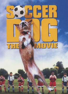 足坛神犬Soccer Dog: European Cup